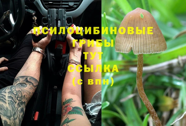ПСИЛОЦИБИНОВЫЕ ГРИБЫ Баксан