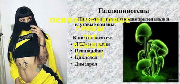 ECSTASY Армянск
