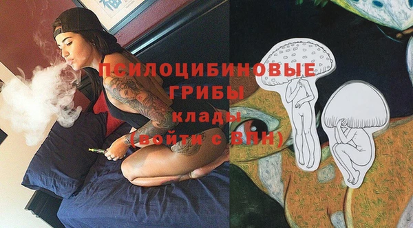 ПСИЛОЦИБИНОВЫЕ ГРИБЫ Баксан