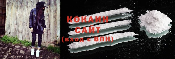 ECSTASY Армянск