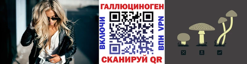 Галлюциногенные грибы Psilocybine cubensis Мамадыш